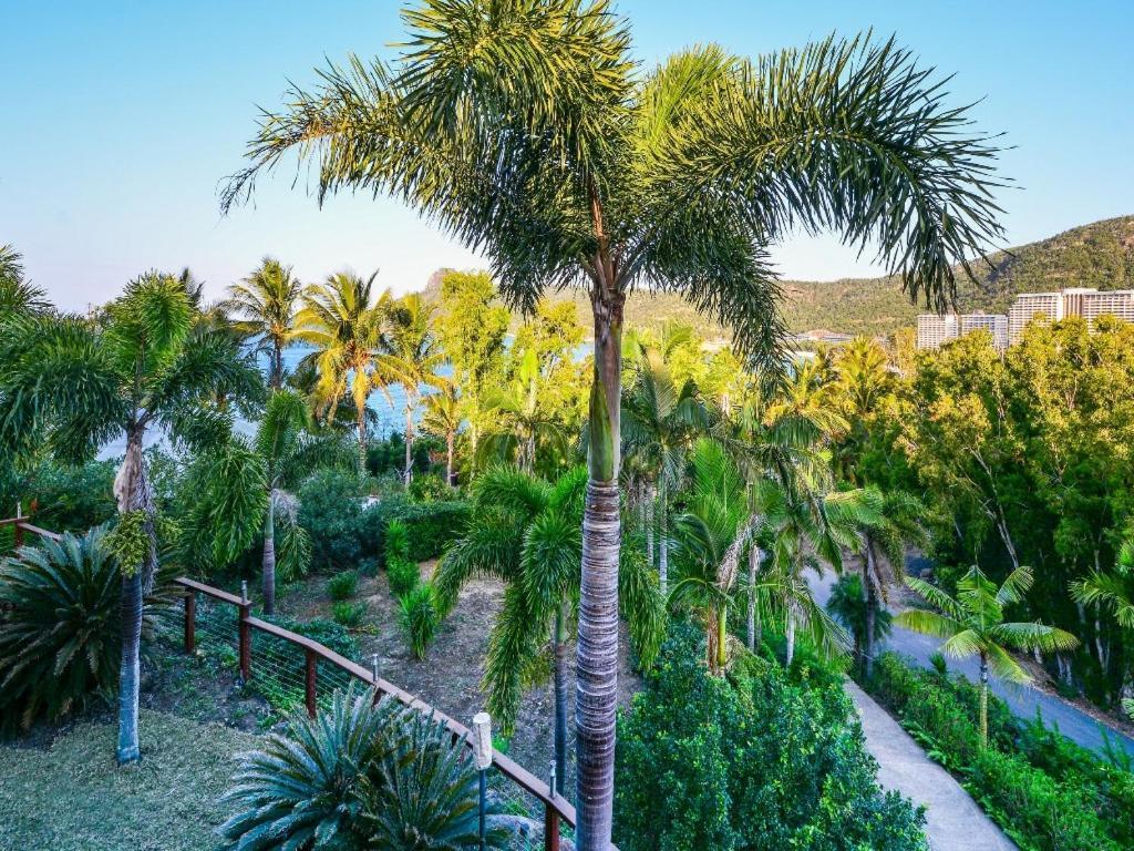 Willa The Palms On Hamilton Island Zewnętrze zdjęcie